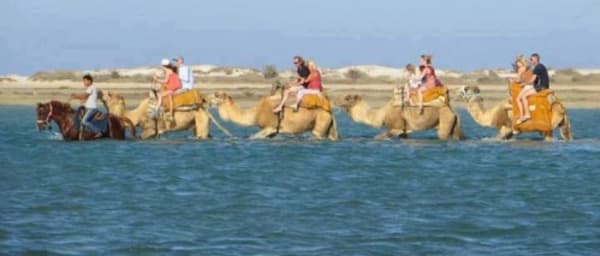 7 giorni in 4x4 nel deserto tunisino da Djerba a Matmata