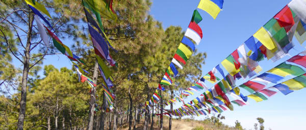 6-Hour Champa Devi Peak Trek from Kathmandu with Valley Views