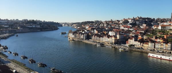 Full-Day Porto Literary Tour through the City's Historic Cemeteries