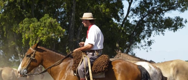 8-Hour Pampas Tour to San Antonio de Areco with Gaucho Traditions