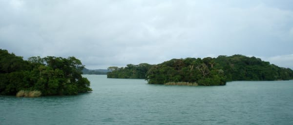 5-Hour Gatún Lake Fishing Tour in the Panamá Canal