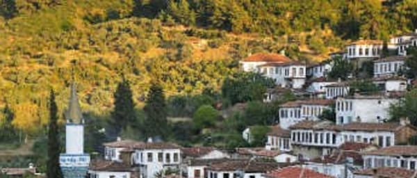 1-Day Ephesus Highlights Tour with Sirince Village and Artemis