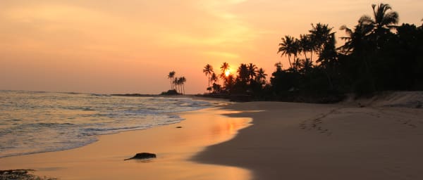 13-Day Sri Lanka Highlights Tour with Yala Safari and Whale Watching