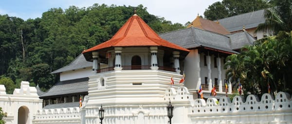 3-Day Sri Lanka Highlights Tour from Colombo with Train Ride
