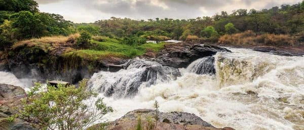 3-Day Murchison Falls Safari in Uganda with Ziwa Rhino Sanctuary