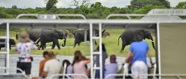 10-Hour Chobe National Park Bird Watching Tour with Cruise and Drive