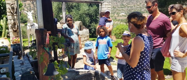 5-Hour Melidoni Cave and Olive Oil Farm Tour with Ceramic Class
