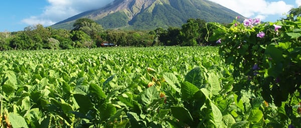 1-Day Volcano Hike in Nicaragua with Las Pilas and El Hoyo