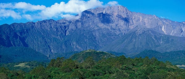 1-Day Arusha National Park Safari with Momela Lakes and Ngurdoto