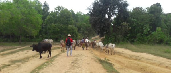 1-Day Kalaw and Inle Lake Tour with Cave Visit and Wine Tasting