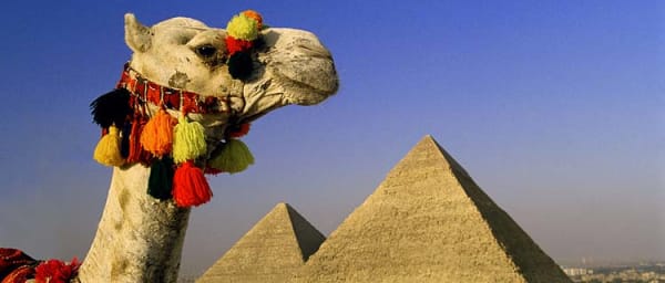 8-Hour Giza, Saqqara and Memphis Tour with Egyptologist Guide