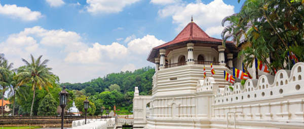 1-Day Kandy and Pinnawala Tour with Temple of the Tooth