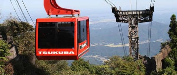8-Hour Mount Tsukuba and Ushiku Daibutsu Tour from Tokyo