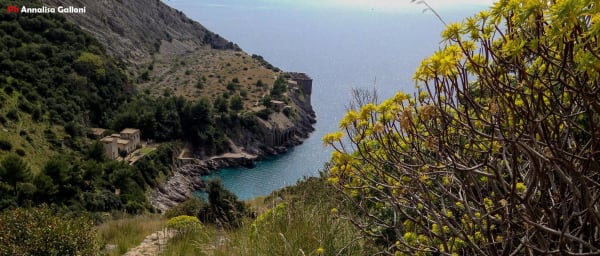 4-Hour Walking Tour to Bay of Ieranto with Campanella Point