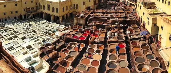 Full-Day Fez Medina Walking Tour with Monuments and Souks