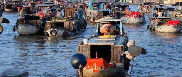 Full-Day Cai Rang Floating Market Tour with Mekong Delta Islets