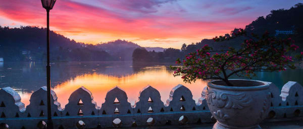 6-Day Sri Lanka Cities Tour with Tea Country and Negombo Beach