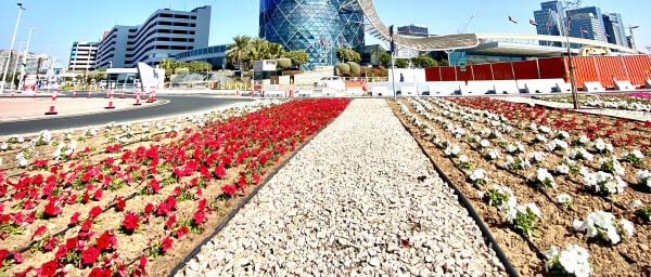 8-Hour Abu Dhabi Sightseeing Tour with Mosque and Louvre Visit