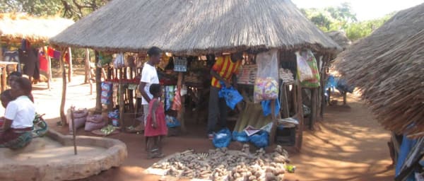 3-Hour Victoria Falls Village Tour with African Cooking Experience