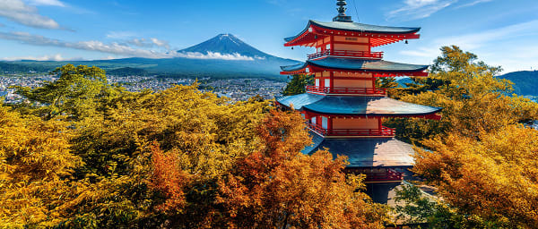 4-Hour Kyoto Walking Tour with Fushimi Inari, Gion and Yasaka