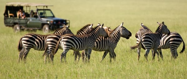 3-Day Masai Mara Safari from Nairobi with Mara River Game Drives