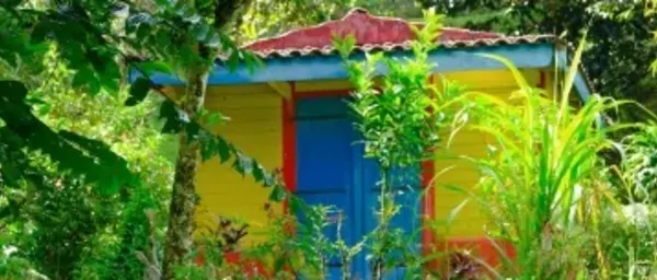 3-Hour Private North Caribbean Martinique Tour with Mount Pelée Stories