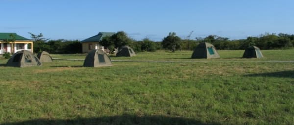 3-Day Tanzania Safari to Tarangire, Lake Manyara and Ngorongoro