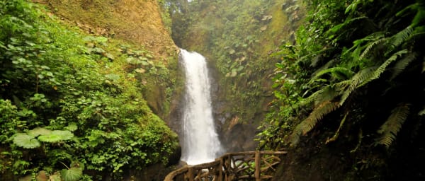 7-Hour La Paz Waterfall Gardens Tour from San José with Lunch