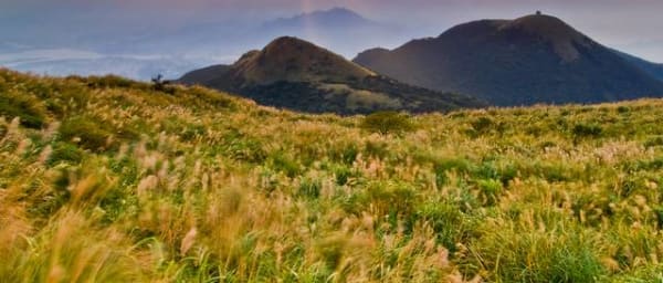 6-Hour Yangmingshan National Park Trek with Qingtiangang and Xiaoyoukeng