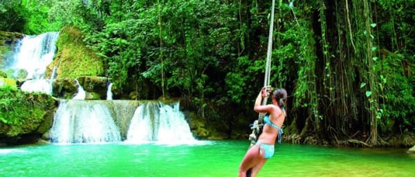 1-Day Negril Highlights Tour with YS Waterfalls and Black River