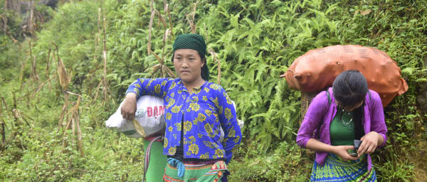 4-Day Ha Giang Motorbike Tour from Hanoi with Homestays and Cave Visit