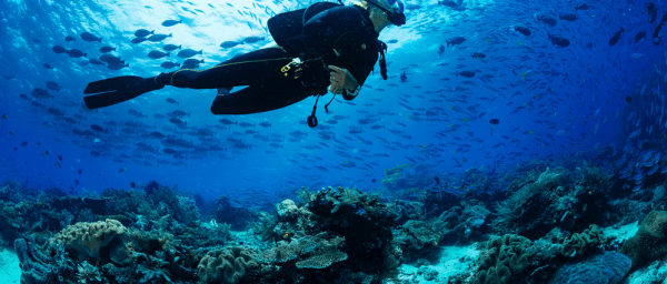Full-Day Hurghada Snorkelling and Scuba Diving Tour by Boat