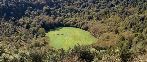 4-Hour Gargano Walking Tour with Pozzatina Doline and Pian della Macina