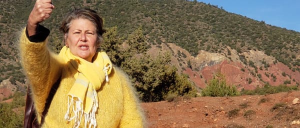 1-Day Atlas Mountains Tour from Marrakech with Camel Ride and Hike
