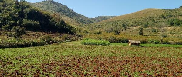 3-Day Kalaw Village Trek with Kon Hla and Nan Yoke Homestays