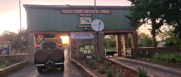 1-Day Tsavo East Safari from Mombasa or Diani with Aruba Dam