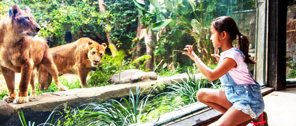 6-Hour Bali Zoo and Blangsinga Waterfall Tour with Village Visits