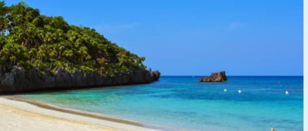 4-Hour Roatán Ziplining Tour with Monkey Park and West Bay Beach