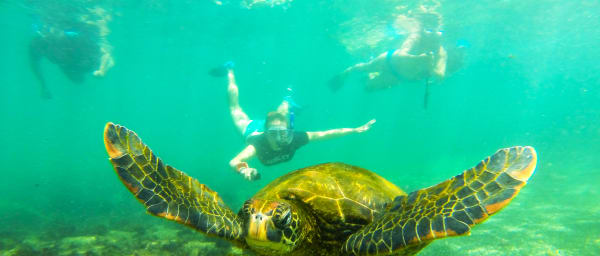 7-Day Galapagos Island-Hopping Tour with Sierra Negra and Los Tuneles