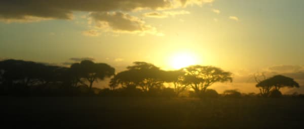 2-Day Amboseli National Park Safari with Wildlife Game Drives