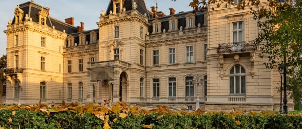 3-Hour Lviv Walking Tour with Opera House and Pototski Palace
