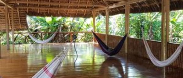 4-Day Yasuní National Park Jungle Tour from Coca with Kichwa Visit