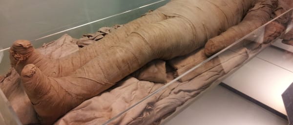 4-Hour Cairo Egyptian Museum Tour with King Tutankhamon Treasures