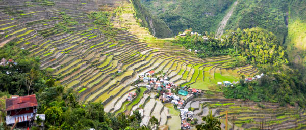 6-Day Nature Tour from Banaue to Manila with Buscalan and Sagada