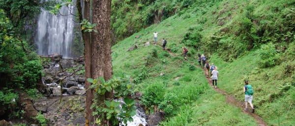 Full-Day Materuni Waterfall and Coffee Tour from Moshi