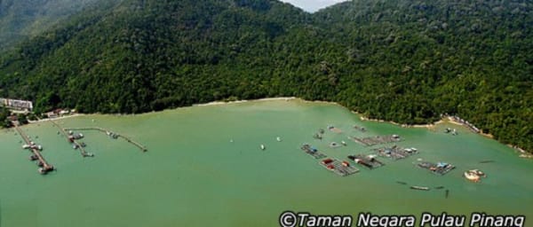 6-Hour Penang National Park Trek with Pantai Kerachut and Monkey Beach