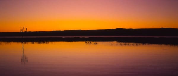 3-Day Rift Valley Wildlife Safari with Nakuru, Bogoria and Naivasha