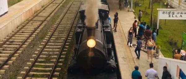 8-Day Sri Lanka Cultural and Wildlife Tour with Ella Train Ride