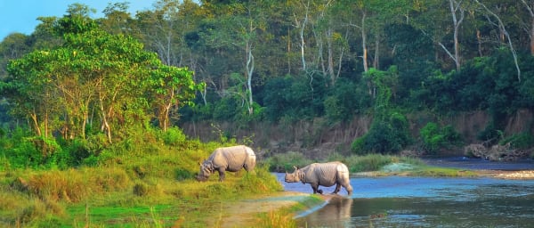 3-Day Chitwan National Park Tour from Kathmandu with Tharu Culture