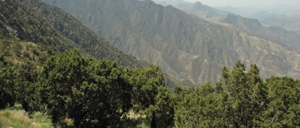 7-Hour Al-Soudah Excursion in Abha with Strawberry Farms and Museum